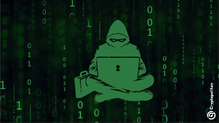 Из BonkDAO выкачали 20 миллионов долларов в результате атаки на систему управления, BONK падает