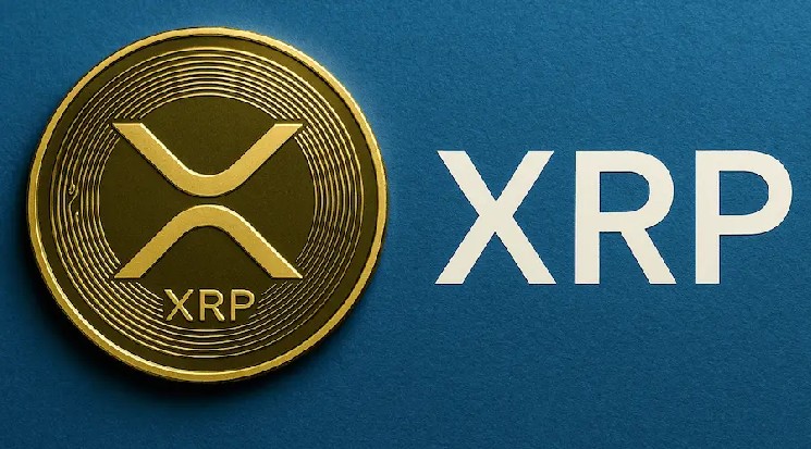 Мошенники придумали новую схему кражи XRP у ходлеров