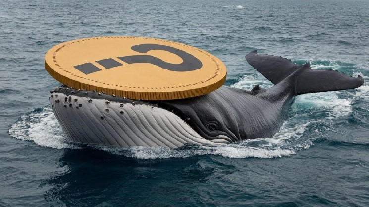 
			Пока биткоин (BTC) падал, крупные инвесторы не бездействовали; они меняли свои позиции: вот альткоины, которыми они торговали&hellip;		